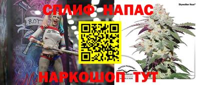 винт Можга