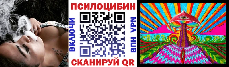 купить закладку  ссылка на мегу ONION  Псилоцибиновые грибы мицелий  Улан-Удэ 
