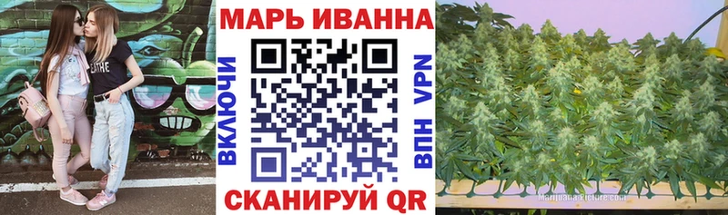 Конопля OG Kush  Улан-Удэ 